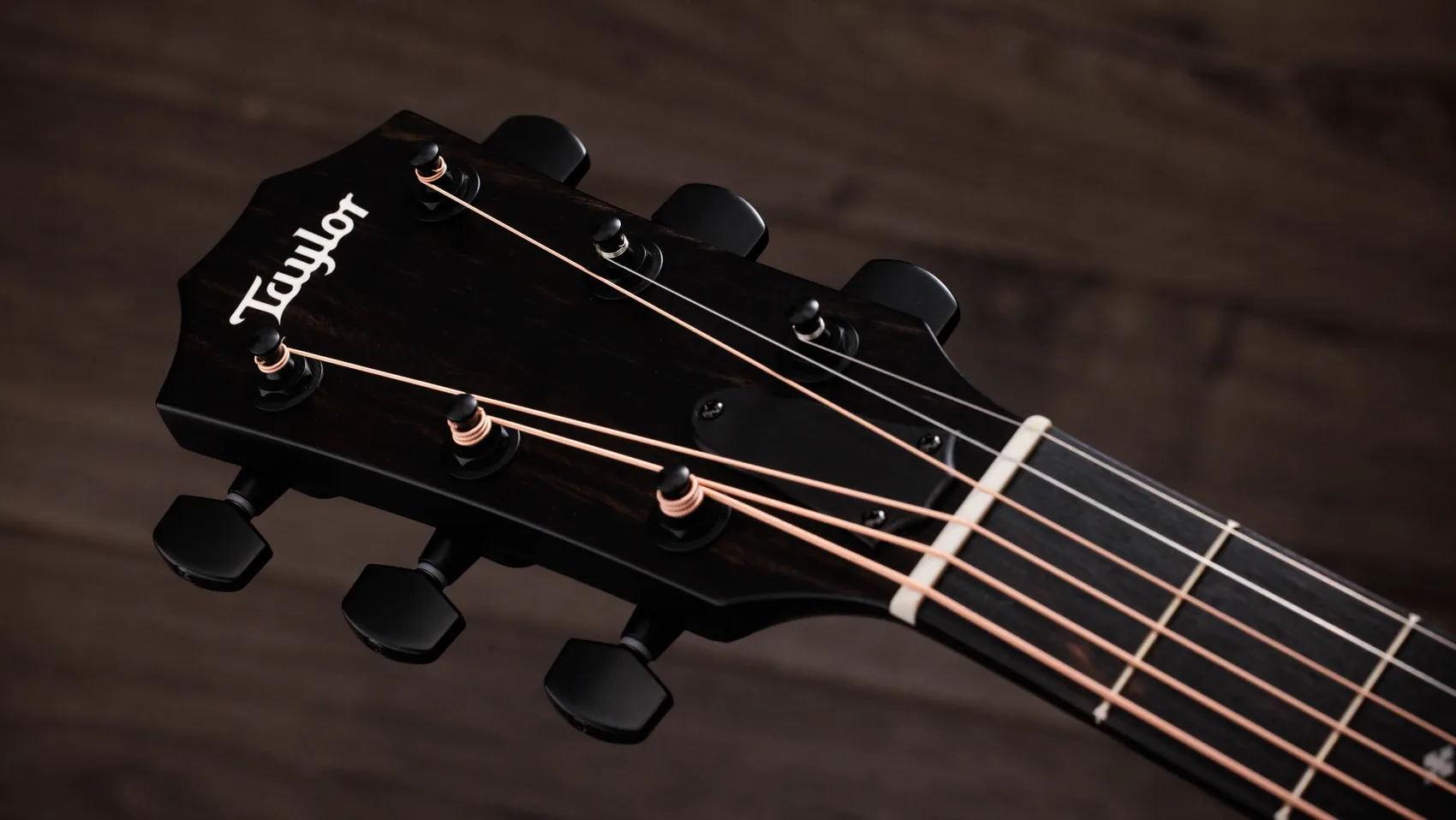 214ce Plus Special Edition, Trans Grey Sapele Acoustic-Electric